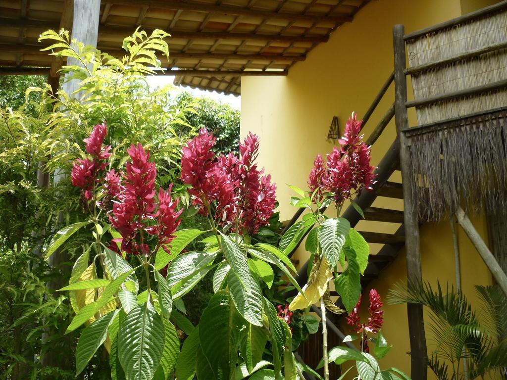 Flat Bang-Lu Hotel Barra Grande  Exterior photo